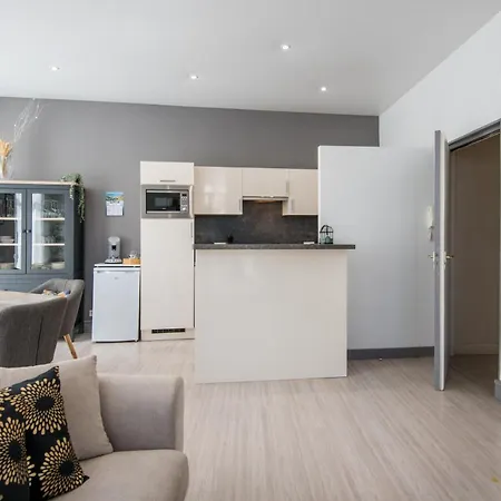 Le Centre-ville,fibre,balcon,clim Apartman Millau